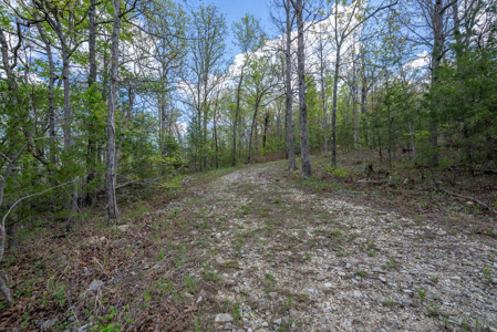 3.31 Acres Near Norfolk Lake and the White River | Mountain Home - image 21