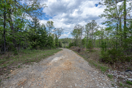 3.31 Acres Near Norfolk Lake and the White River | Mountain Home - image 22