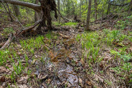 3.31 Acres Near Norfolk Lake and the White River | Mountain Home - image 12