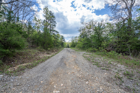 3.31 Acres Near Norfolk Lake and the White River | Mountain Home - image 23