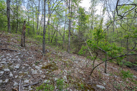 3.31 Acres Near Norfolk Lake and the White River | Mountain Home - image 15