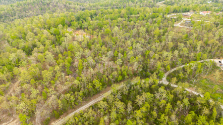 3.31 Acres Near Norfolk Lake and the White River | Mountain Home - image 4
