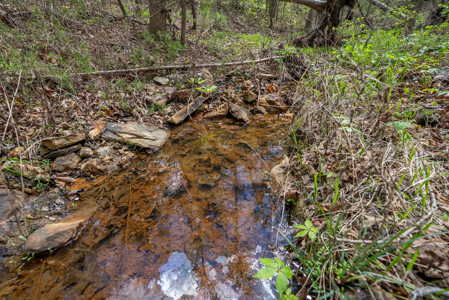 3.31 Acres Near Norfolk Lake and the White River | Mountain Home - image 13