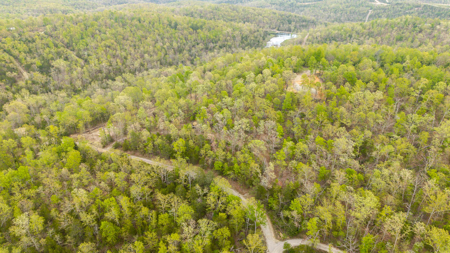 3.31 Acres Near Norfolk Lake and the White River | Mountain Home - image 7