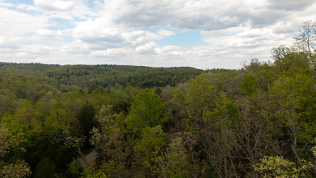 3.31 Acres Near Norfolk Lake and the White River | Mountain Home - image 10