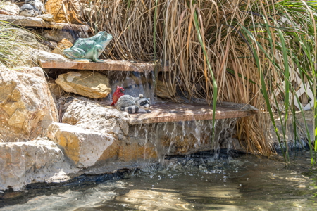 Home for Sale with Mountain Views in Las Cruces, NM - image 44