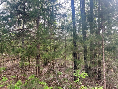 Small acreage for sale Fulton Co AR - image 7