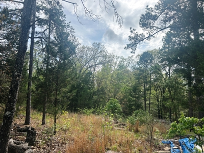 Small acreage for sale Fulton Co AR - image 1