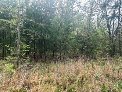 Small acreage for sale Fulton Co AR - image 2