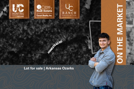 Lot for sale in Horseshoe Bend, Arkansas - image 1