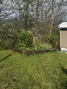 2.6 Lakefront Acres for sale in Grainger County, TN - image 18