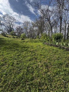 2.6 Lakefront Acres for sale in Grainger County, TN - image 11