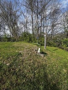 2.6 Lakefront Acres for sale in Grainger County, TN - image 17