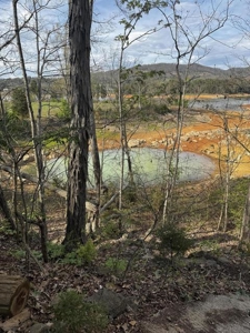 2.6 Lakefront Acres for sale in Grainger County, TN - image 26