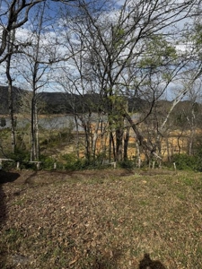 2.6 Lakefront Acres for sale in Grainger County, TN - image 9