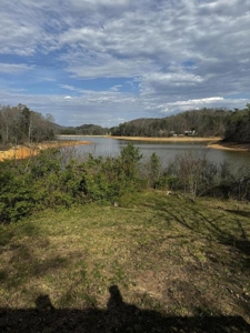 2.6 Lakefront Acres for sale in Grainger County, TN - image 28
