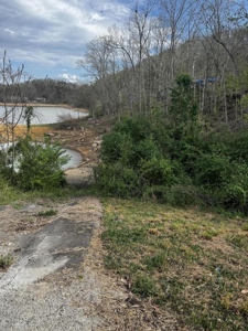 2.6 Lakefront Acres for sale in Grainger County, TN - image 4