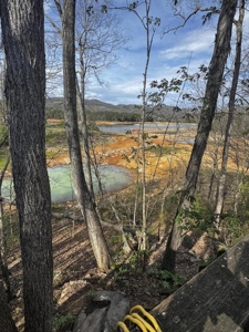 2.6 Lakefront Acres for sale in Grainger County, TN - image 25