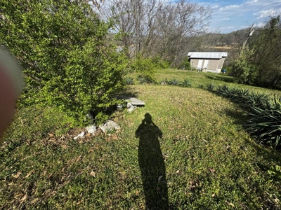 2.6 Lakefront Acres for sale in Grainger County, TN - image 23