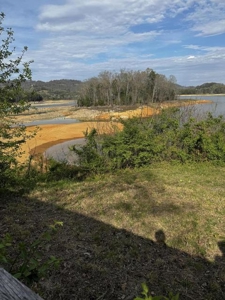2.6 Lakefront Acres for sale in Grainger County, TN - image 30