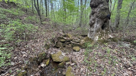 107± Acres of Prime Hunting Land with Mountain Views in Tennessee - image 9