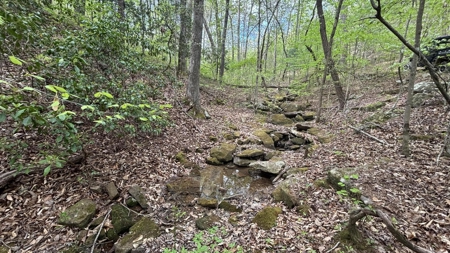 107± Acres of Prime Hunting Land with Mountain Views in Tennessee - image 21
