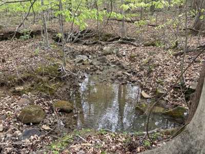 107± Acres of Prime Hunting Land with Mountain Views in Tennessee - image 50