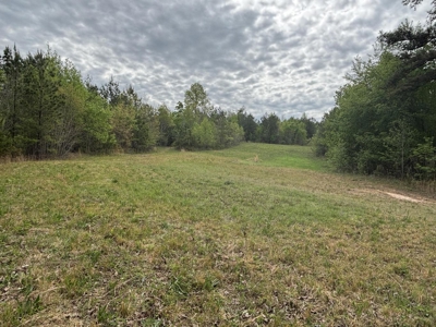 107± Acres of Prime Hunting Land with Mountain Views in Tennessee - image 38
