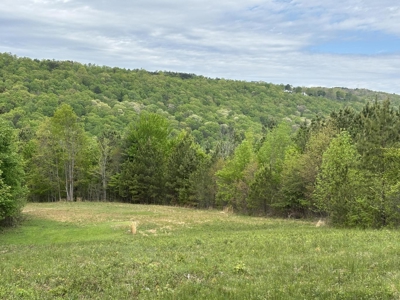 107± Acres of Prime Hunting Land with Mountain Views in Tennessee - image 36