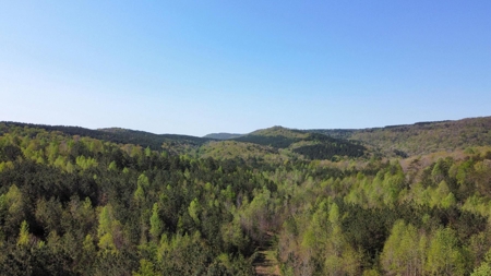 107± Acres of Prime Hunting Land with Mountain Views in Tennessee - image 30