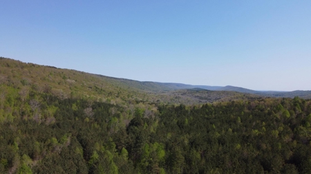 107± Acres of Prime Hunting Land with Mountain Views in Tennessee - image 33