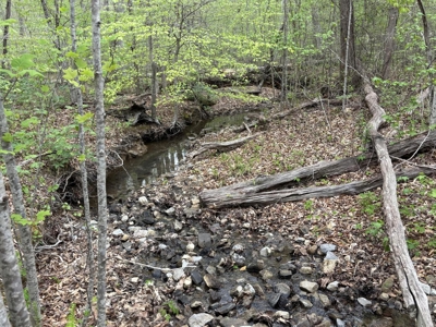 107± Acres of Prime Hunting Land with Mountain Views in Tennessee - image 43