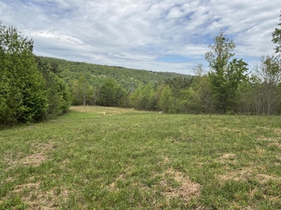 107± Acres of Prime Hunting Land with Mountain Views in Tennessee - image 37