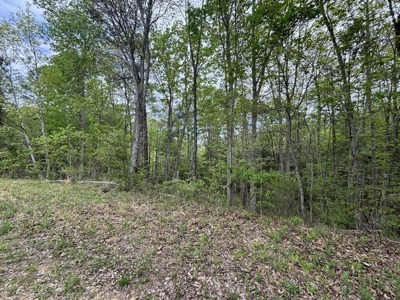 107± Acres of Prime Hunting Land with Mountain Views in Tennessee - image 39