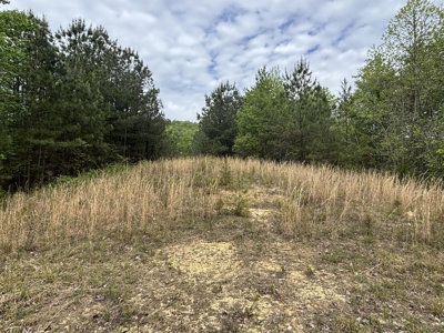 107± Acres of Prime Hunting Land with Mountain Views in Tennessee - image 42