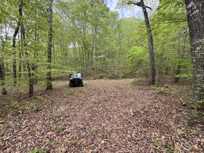 107± Acres of Prime Hunting Land with Mountain Views in Tennessee - image 10