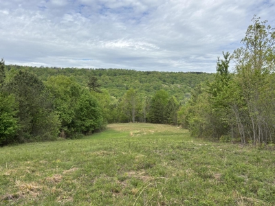 107± Acres of Prime Hunting Land with Mountain Views in Tennessee - image 1