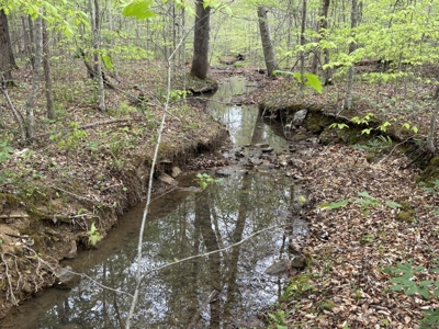 107± Acres of Prime Hunting Land with Mountain Views in Tennessee - image 48