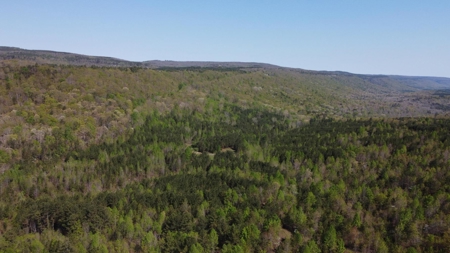 107± Acres of Prime Hunting Land with Mountain Views in Tennessee - image 31