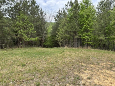 107± Acres of Prime Hunting Land with Mountain Views in Tennessee - image 41