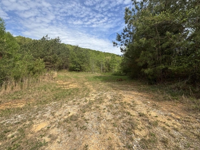 107± Acres of Prime Hunting Land with Mountain Views in Tennessee - image 17