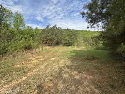 107± Acres of Prime Hunting Land with Mountain Views in Tennessee - image 3