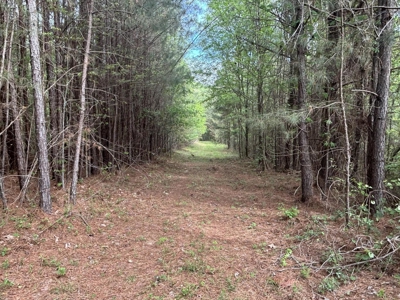 107± Acres of Prime Hunting Land with Mountain Views in Tennessee - image 16