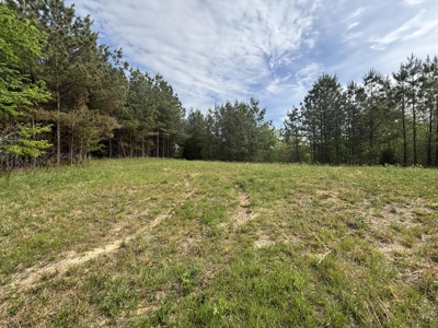107± Acres of Prime Hunting Land with Mountain Views in Tennessee - image 2