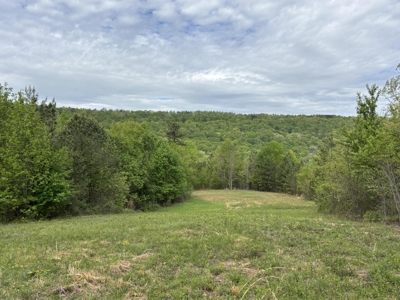 107± Acres of Prime Hunting Land with Mountain Views in Tennessee - image 35