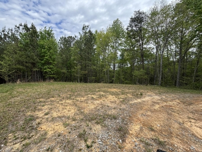 107± Acres of Prime Hunting Land with Mountain Views in Tennessee - image 40