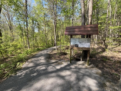 107± Acres of Prime Hunting Land with Mountain Views in Tennessee - image 25