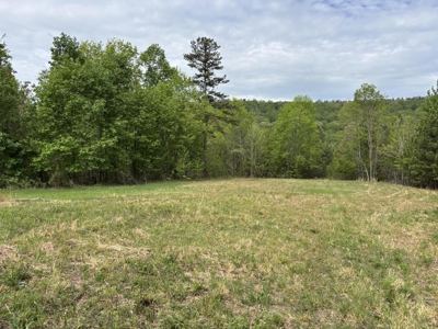 107± Acres of Prime Hunting Land with Mountain Views in Tennessee - image 34