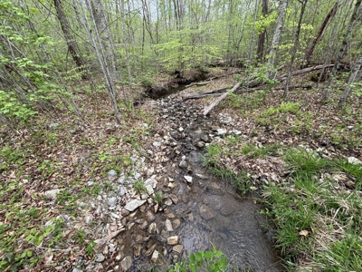 107± Acres of Prime Hunting Land with Mountain Views in Tennessee - image 45