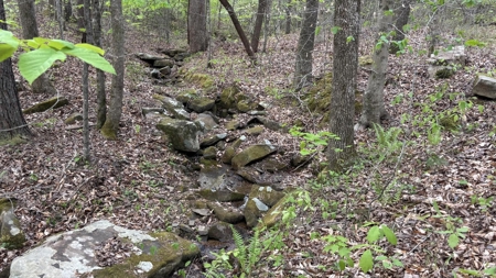 107± Acres of Prime Hunting Land with Mountain Views in Tennessee - image 18